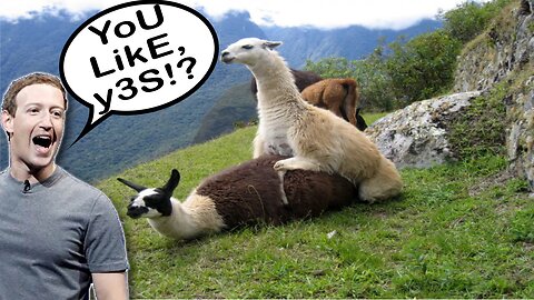 Marky-Moo's LLaMA's
