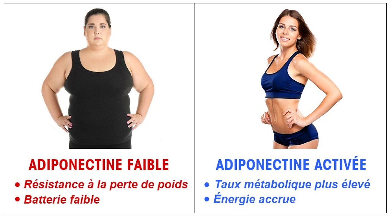 French Okinawa Flat Belly Tonic - Méthode Minceur Okinawa