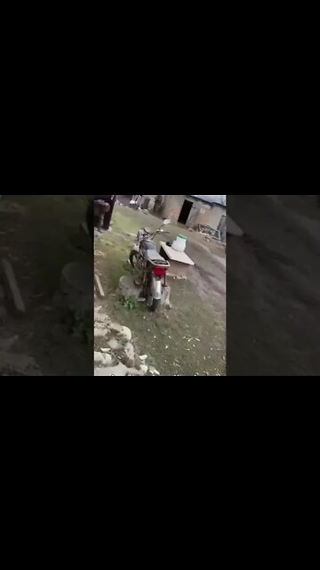 🇷🇺🇺🇦 Ukronazis Crawling To Surrender