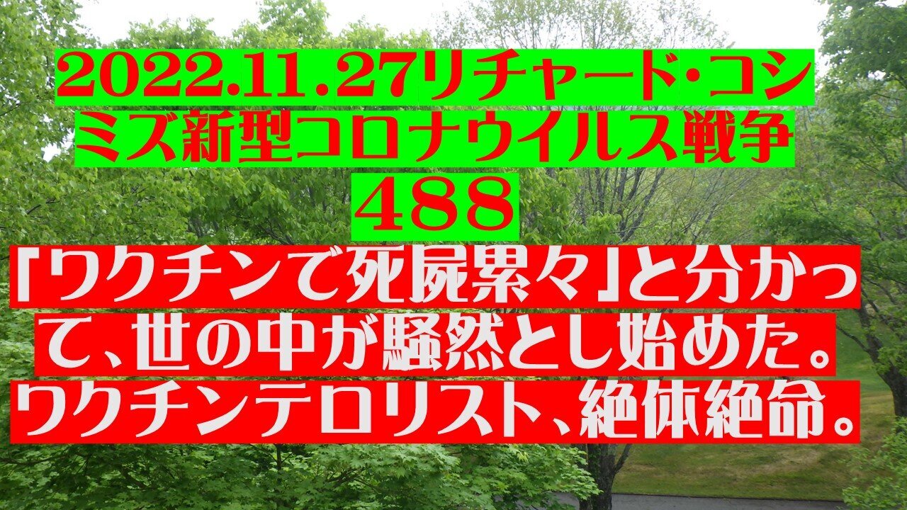 2022.11.27 リチャード・コシミズ新型コロナウイルス戦争４８８