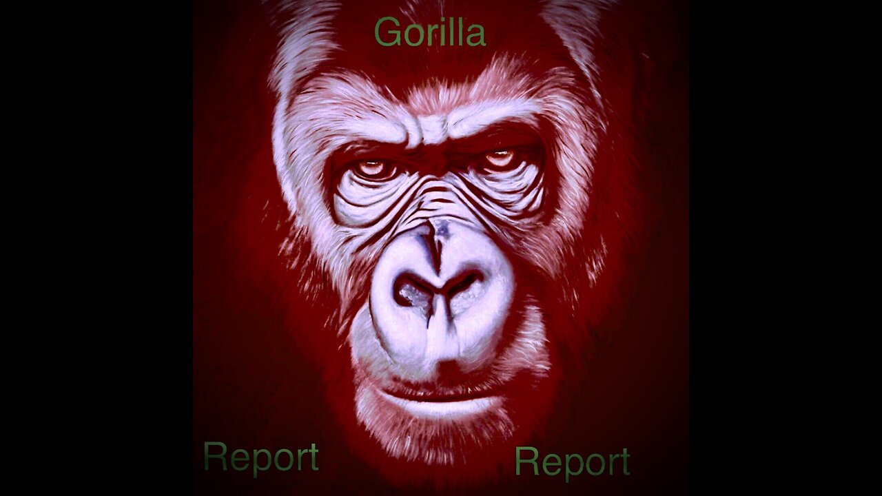 Gorilla Report