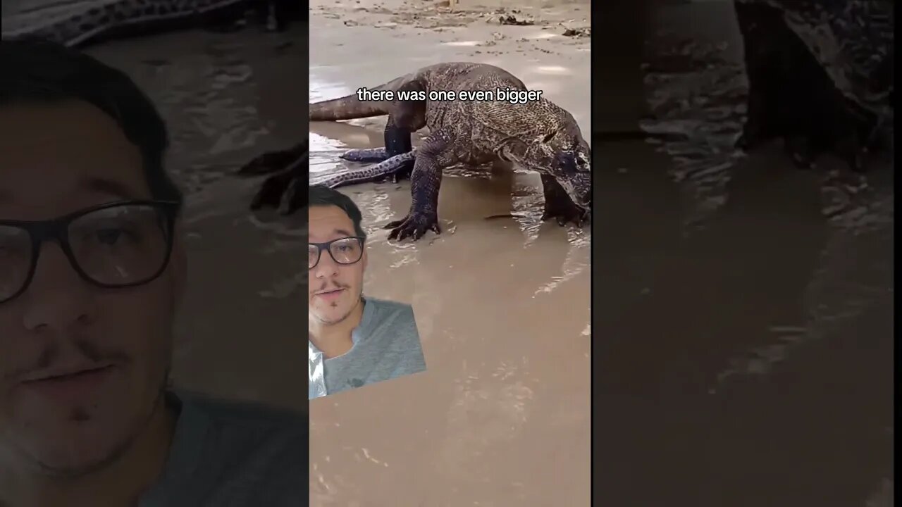 The megalania was a force to be reckoned with