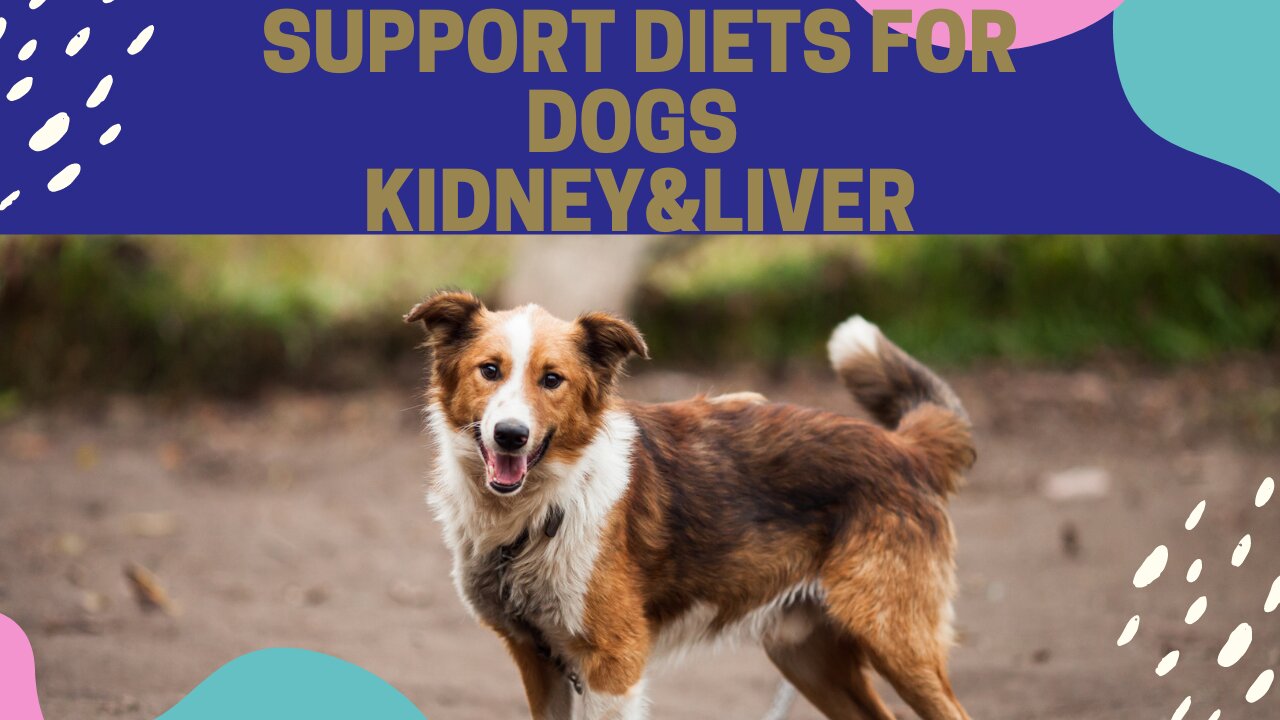 support diet for dogs/kidney and liver support