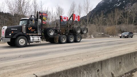 Honking For Freedom In The Kootenays