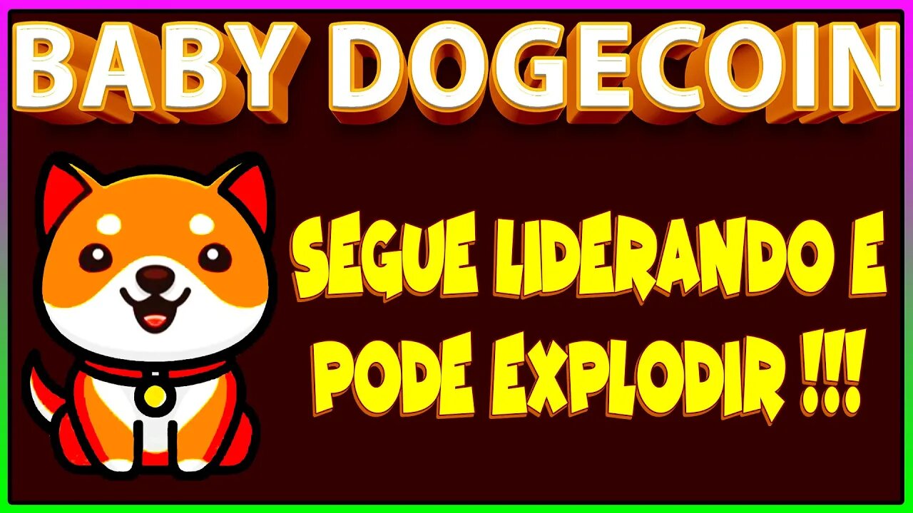 BABY DOGECOIN SEGUE LIDERANDO E PODE EXPLODIR !!!