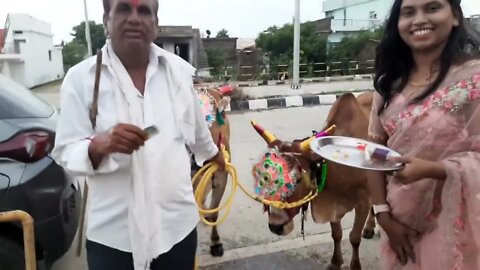Bail Pola 2022 | बैल पोळा 2022 |biggest bail pola | madni bailpola | bail pola best video