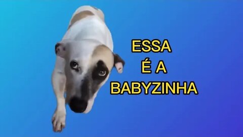 ESSA É A BABYZINHA