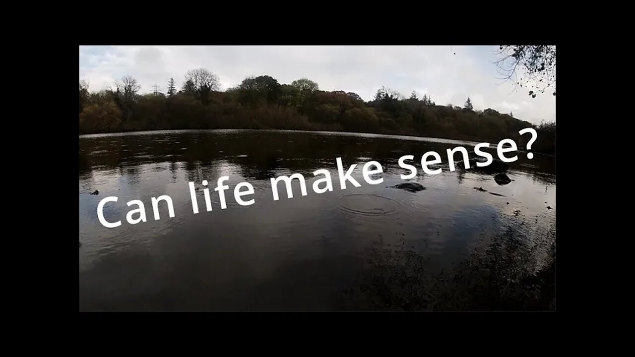 Can life make sense?