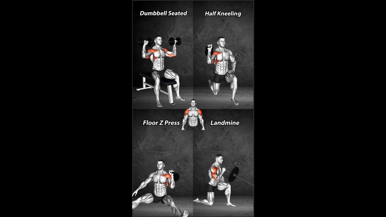 Top 4 Shoulder Muscle Building Exercises. #fitness #workout