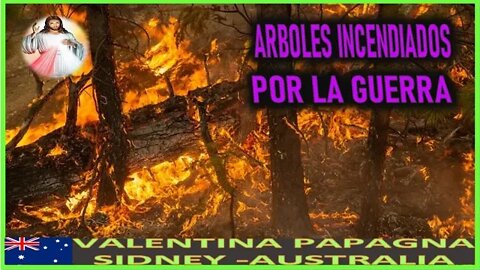 ARBOLES INCINERADOS POR LA GUERRA - MENSAJE DE JESUCRISTO REY A VALENTINA PAPAGNA