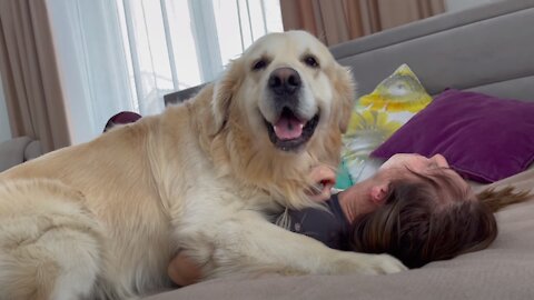 Golden Retriever Attacks His Human Mom 🤣😂