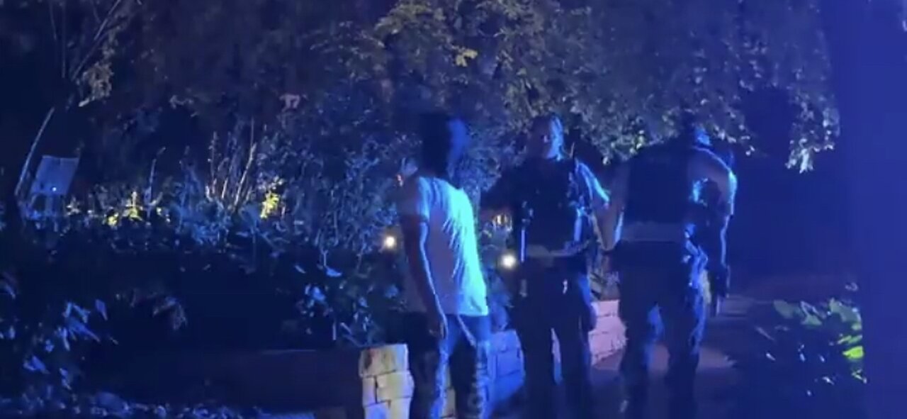 Teenagers walking late at night with weapons, you still want to defund police?