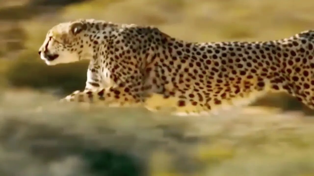 Elephant Attack Wild Animal-Most Amazing Moments Of wild Animals 2022@Big Animals