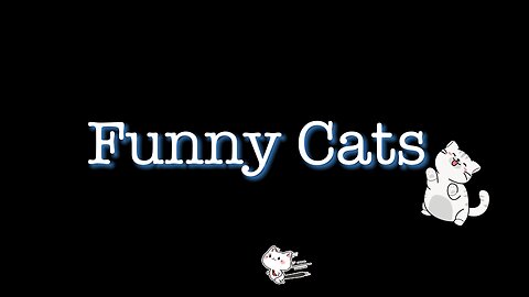 Funny Cat Vol.3