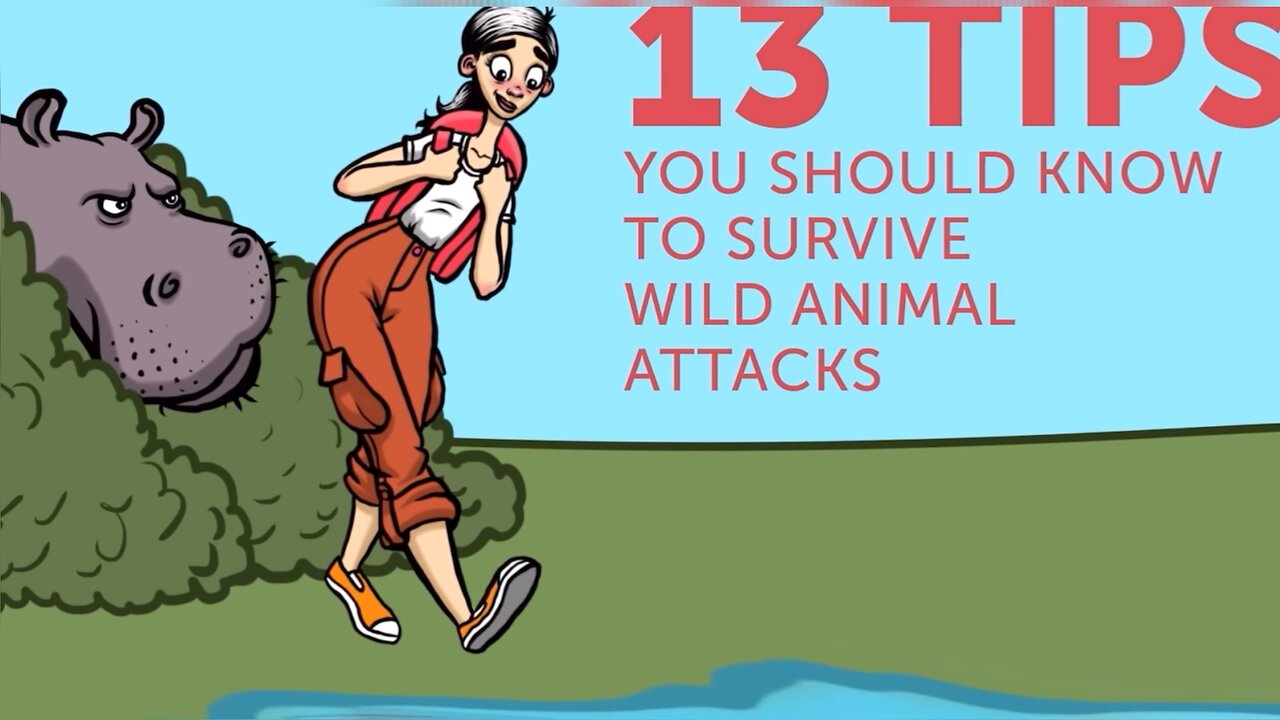 Tips on How to Survive Wild Animal Attacks