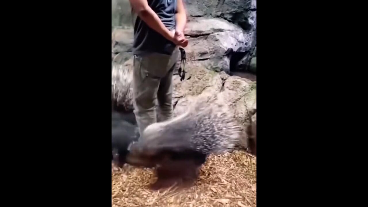 animal lover ❤️