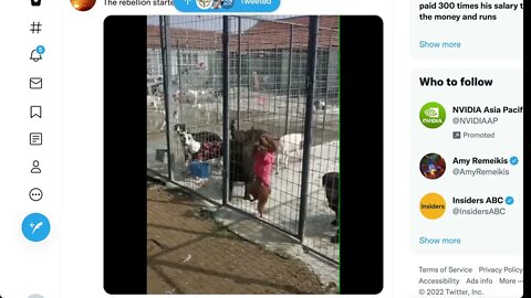 🟨🤣🤣🤣逃獄的狗🤣🤣🤣🟨