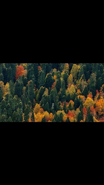 Algumas horas no avião - e você está no Território de Krasnodar!