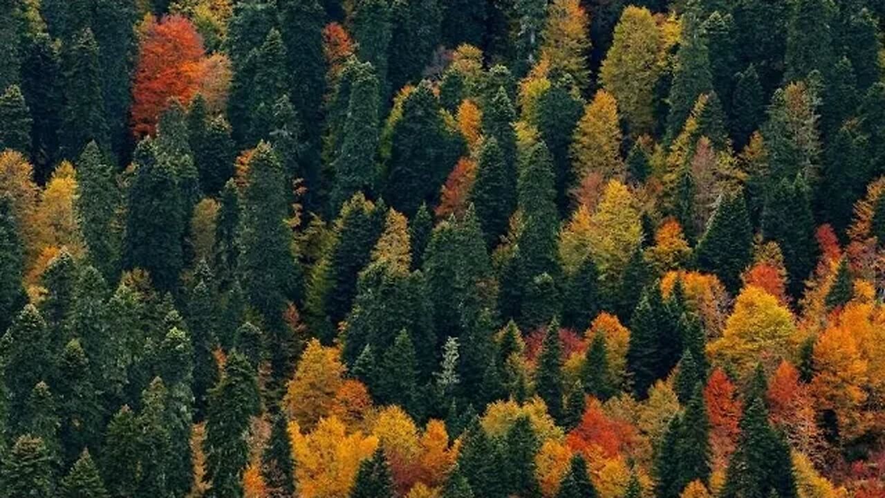 Algumas horas no avião - e você está no Território de Krasnodar!