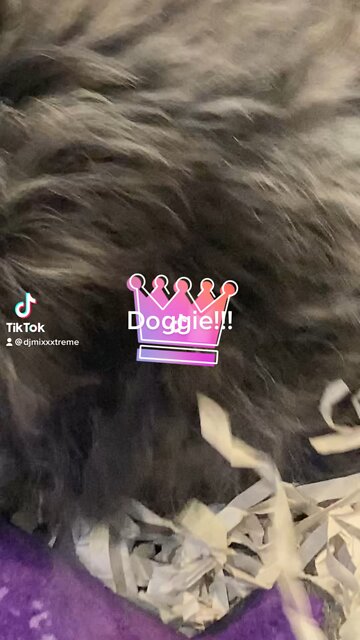 Random content from your favorite DJ