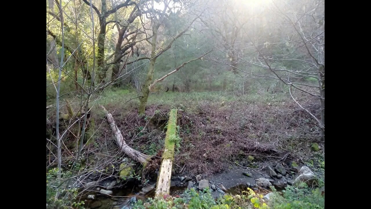 South Of "Laurel Park": Scouting Hike