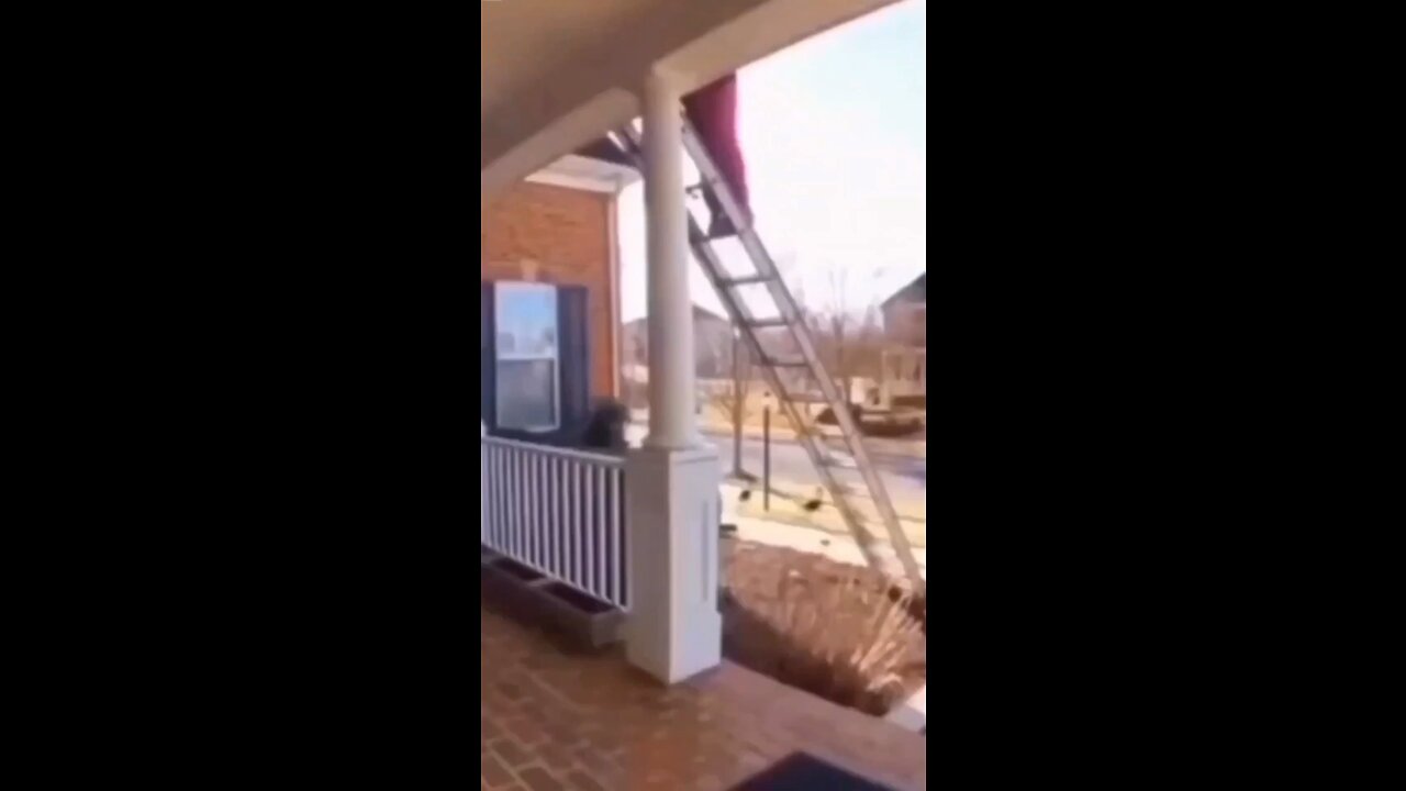 😂😂😂😂