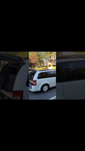 🇦🇹 🤝 🇳🇱 👨‍🌾Austria, in an anti-government demonstration, they show support the