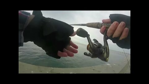 Ocean Beach Pier Fishing! Catching Mackerel and Jacksmelt!