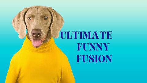 Ultimate FunnyFusion