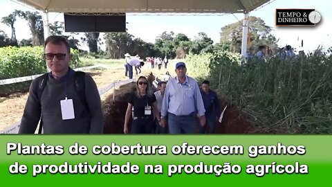 Plantas de cobertura oferecem ganhos de produtividade e sustentabilidade na produção agrícola