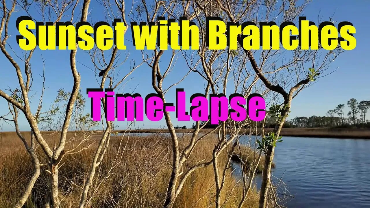 Skipper Bay Sunset with branches Time Lapse