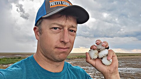 TWO hail storms in ONE week?! 🤦‍♂️