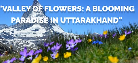 Valley of Flowers 🌹🌺🌺 " The Jewel of Uttrakhand