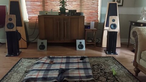 Testing The New Little Rig Speakers