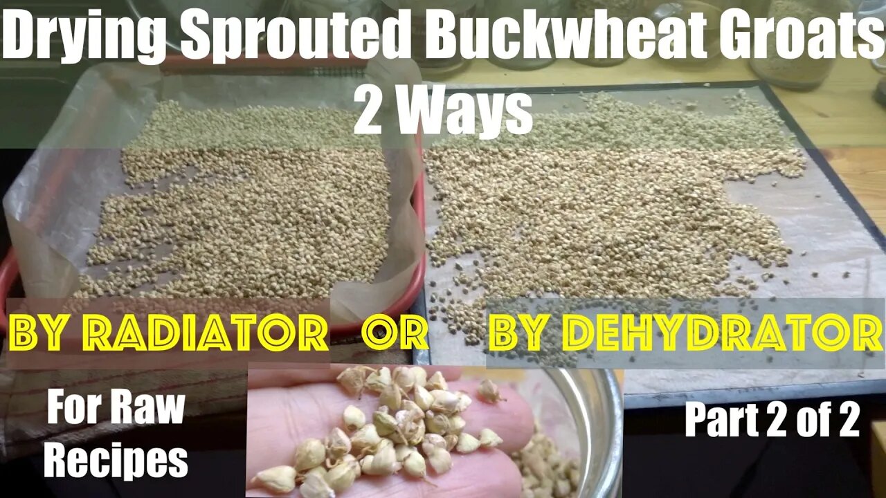 Sprouted Buckwheat 2 Ways Drying Improve digestibility.Part2