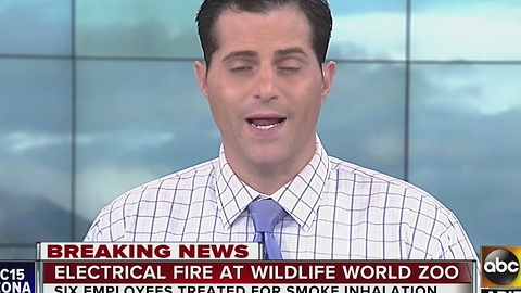 Fire crews battle fire at Wildlife World Zoo