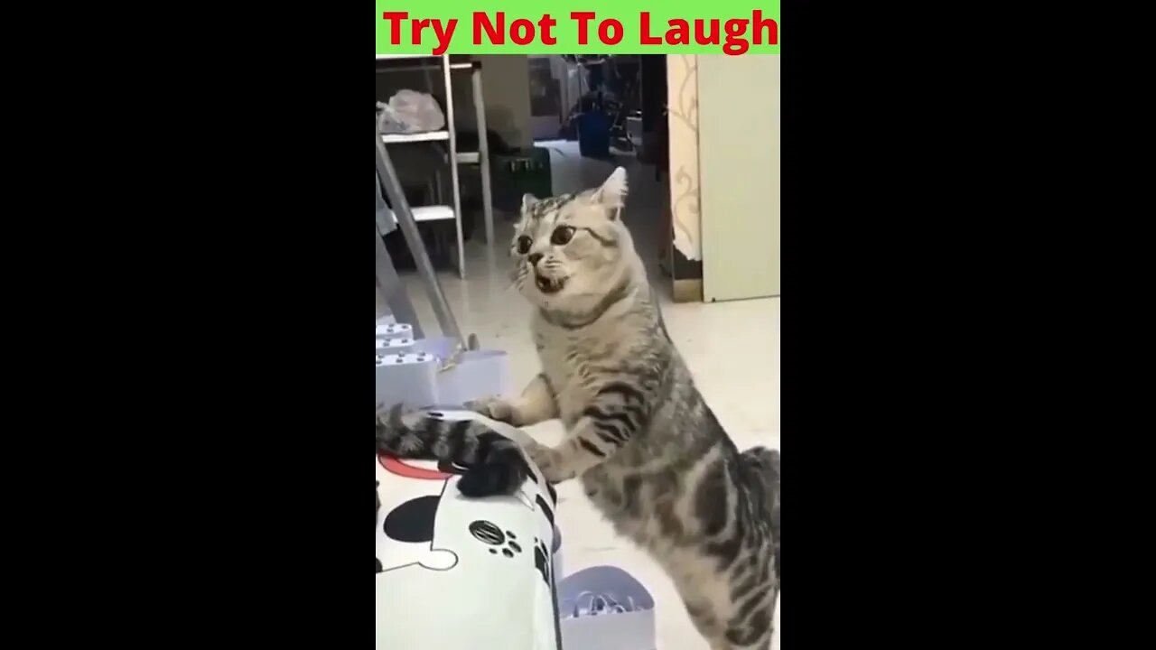 BEST 😍FUNNY😍 PET VIDEOS #47 - Try Not To Laugh #shorts