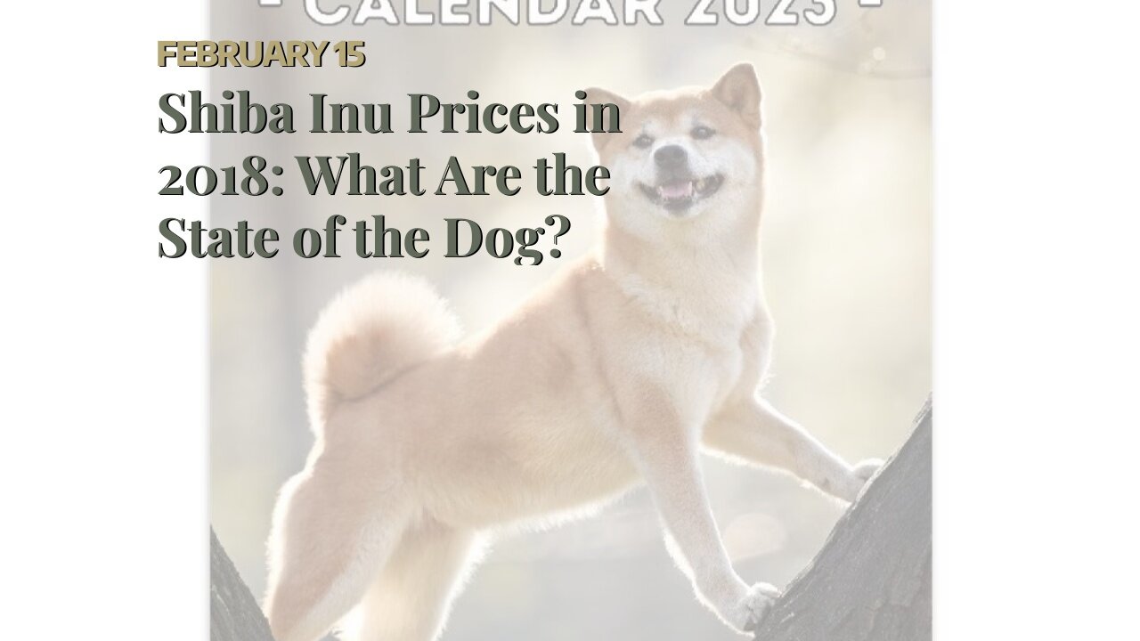 Shiba Inu Prices in 2018: What Are the State of the Dog?