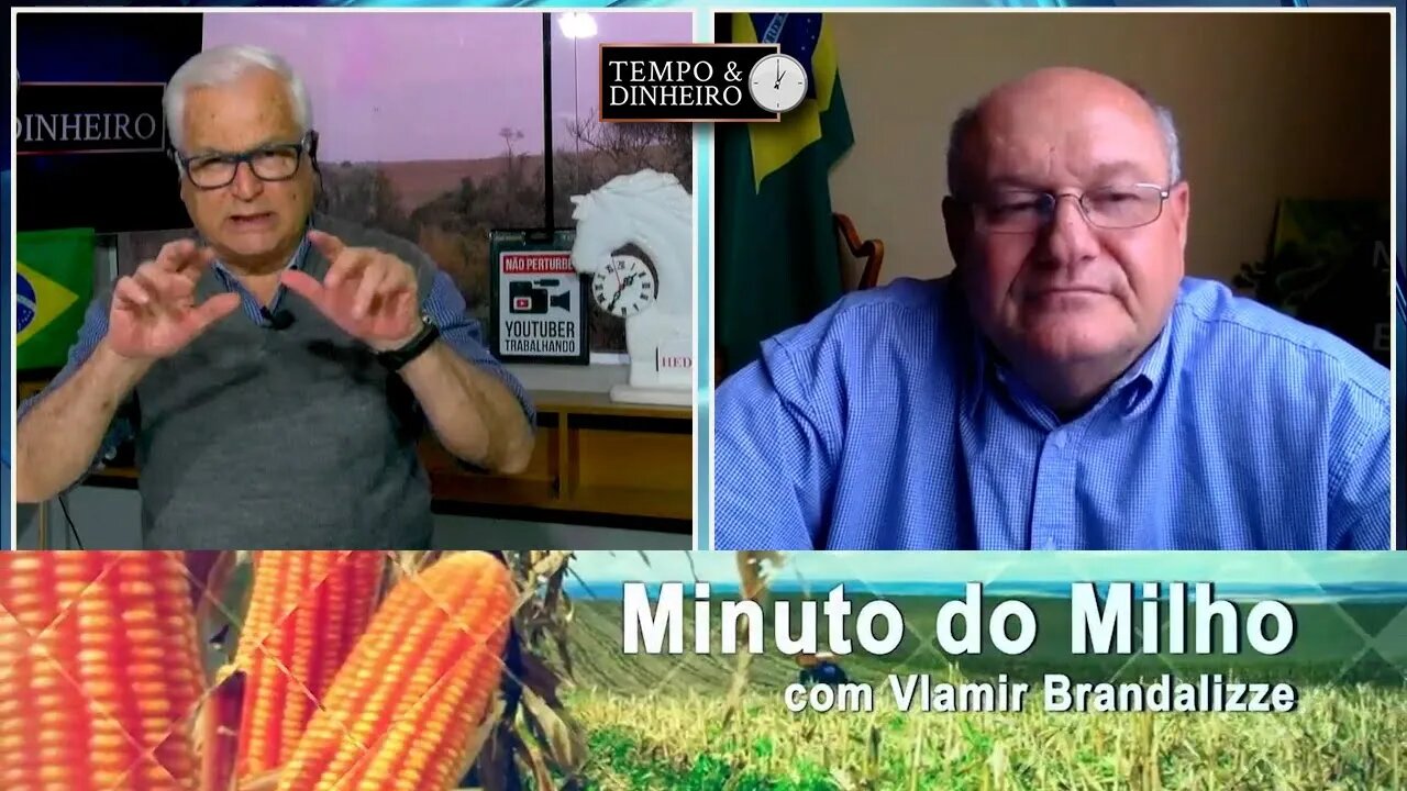 Milho continua com apelo positivo