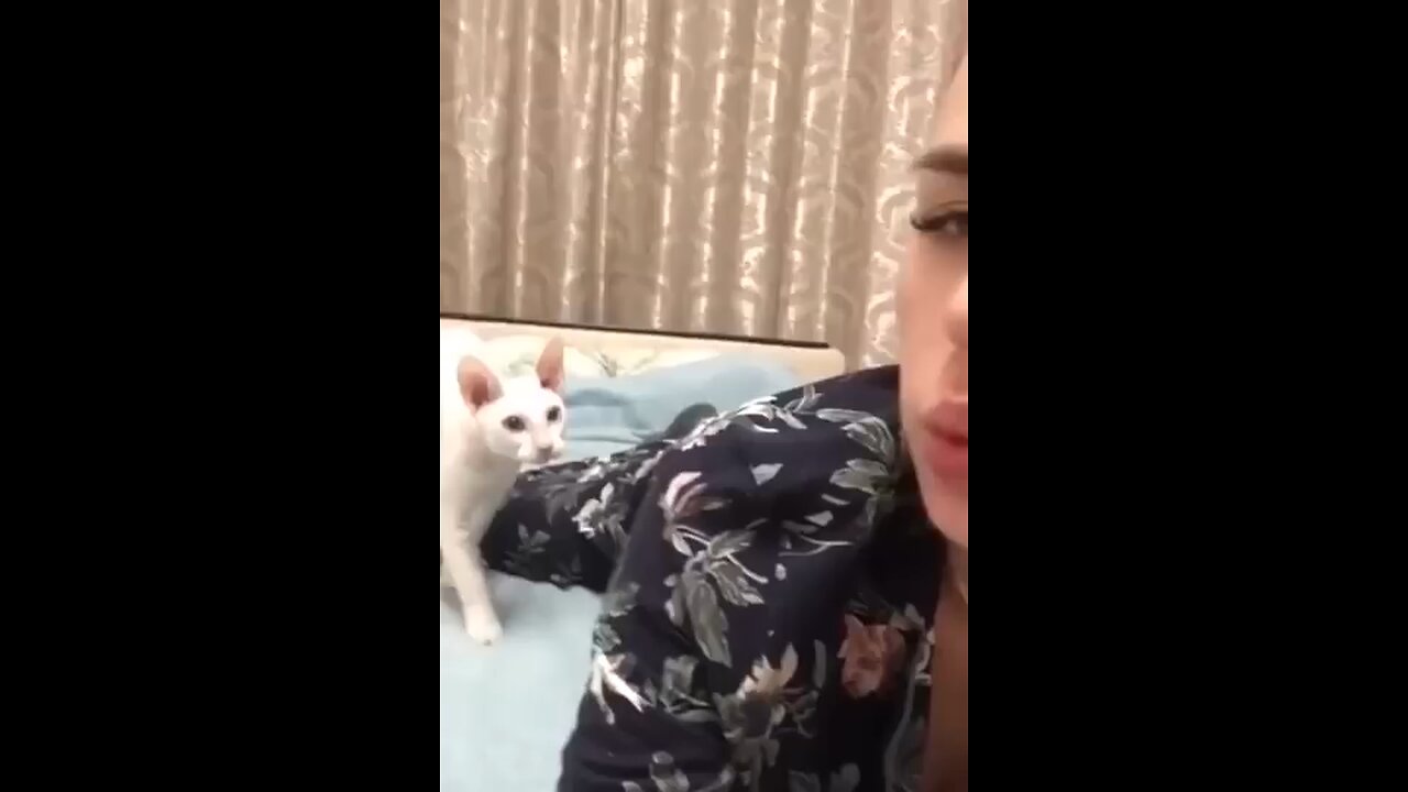 Funniest Cats and Dogs | Best Funny Animal Videos #21