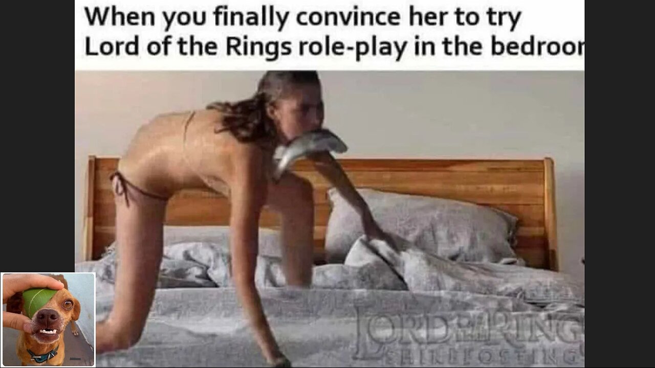 Memes That Will 99.827% Make You Laugh. (e52)
