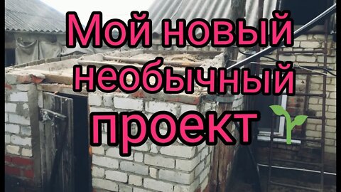 ЗИМНЯЯ ТЕПЛИЦА. ЧАСТЬ 9. ПОЛКИ