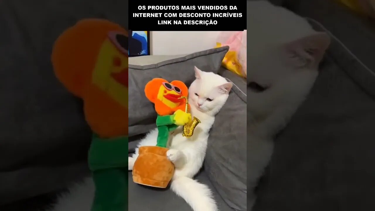 JÁ ASSISTI ESSE VÍDEO MAIS DE 10 VEZES