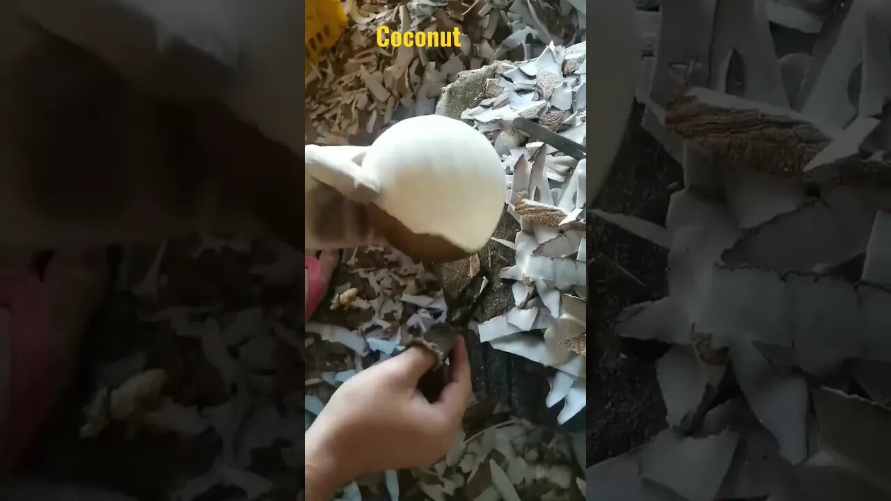 coconut #shorts #testy #food