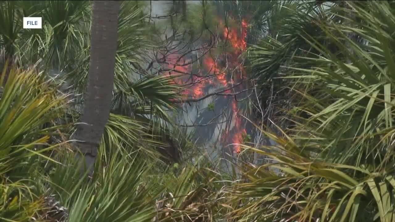 Southwest Florida above normal significant fire potential