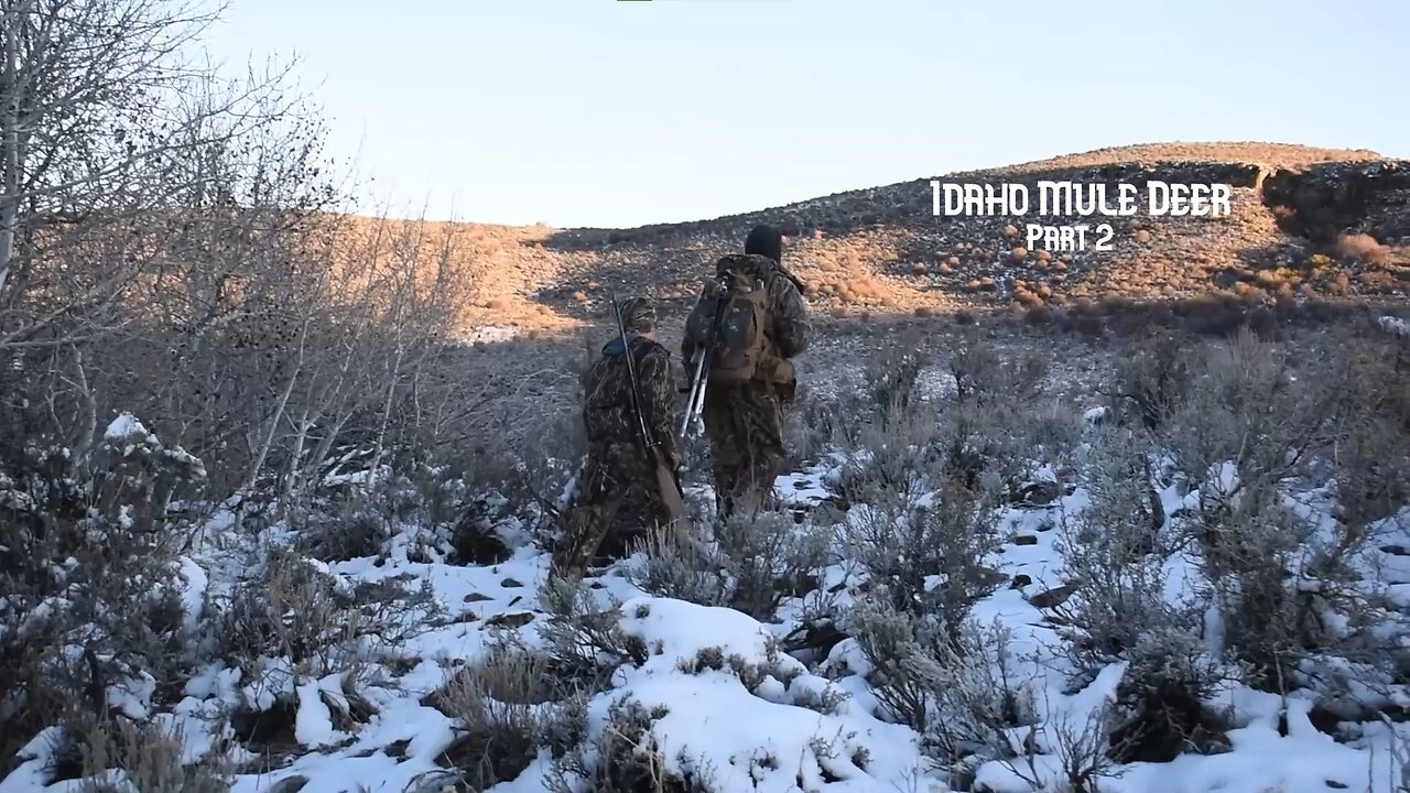 To Kill A Mule Deer: Idaho Mule Deer Part 2