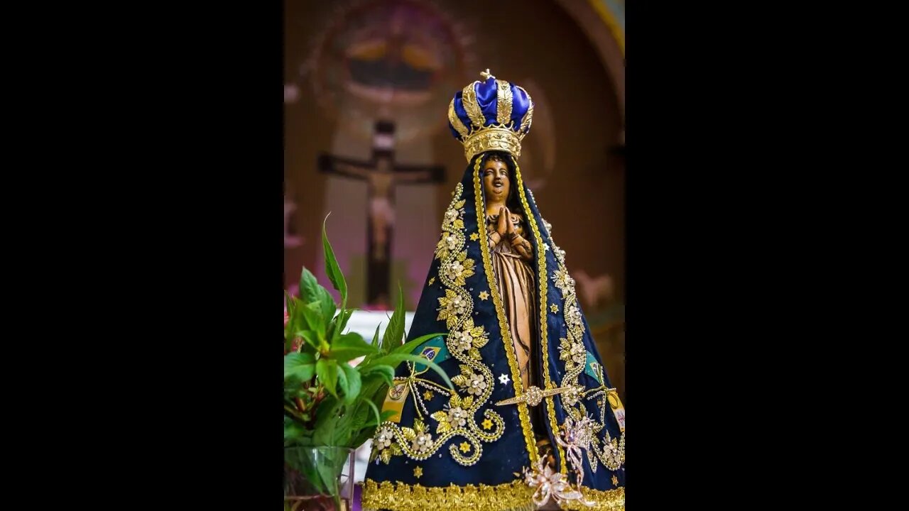 Pedindo proteção e colo de mãe a Nossa Senhora Aparecida