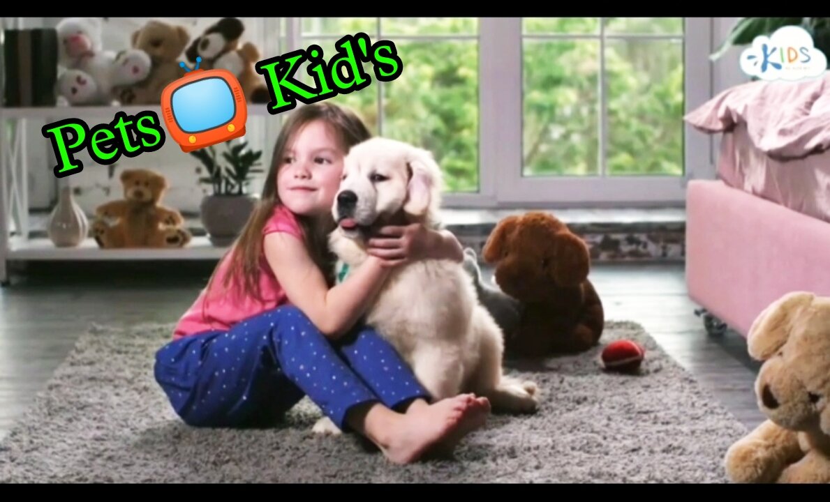 //PET'S likes Kid's//