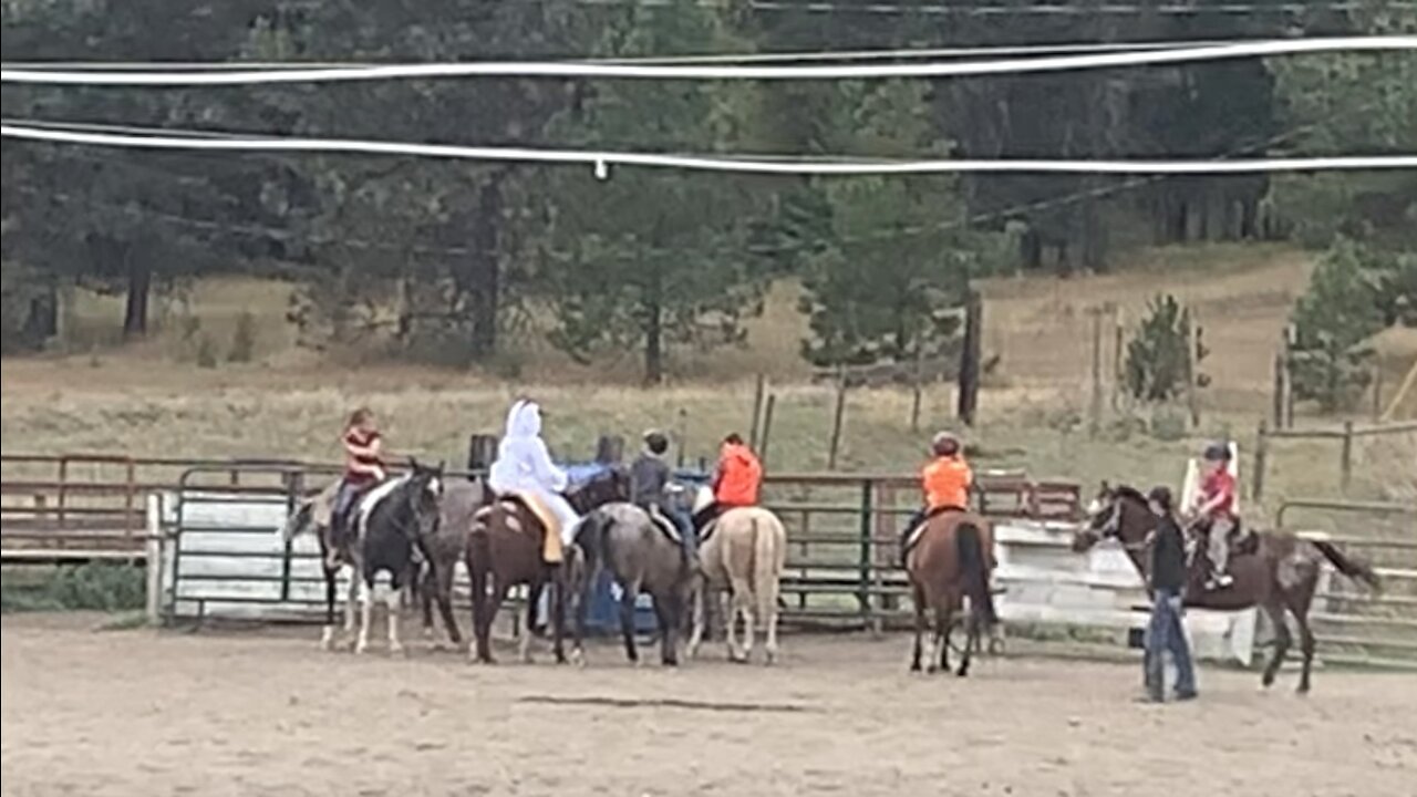 Our buckaroo