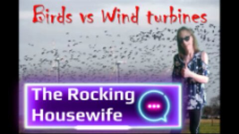 Birds vs Wind turbines